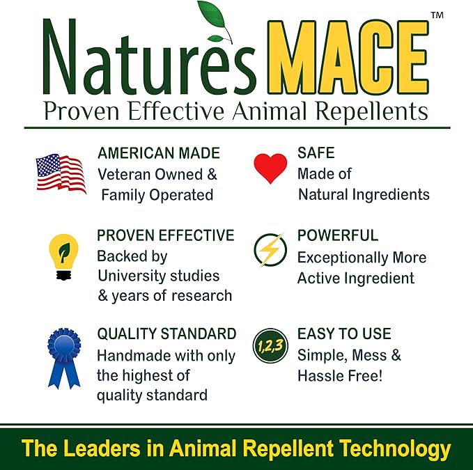 Nature’s MACE Bed Bug Killer 1 Gallon Kill BedBugs Treatment Mites Eggs Easy Do-It-Yourself Professional Bed Bug Spray at-Home Solution Mattress Non-Toxic Child &amp Pet Safe Stain &amp O