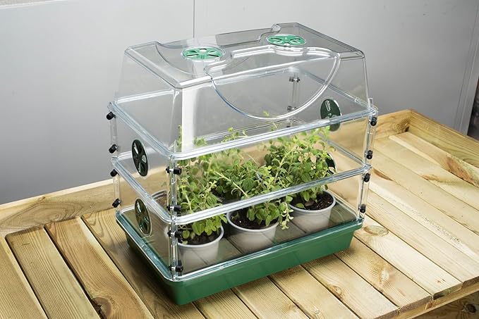 Medium EarlyGrow Seed and Herb Domed Propagator with 2 Vented Side Height Extensions and Security Clip Set