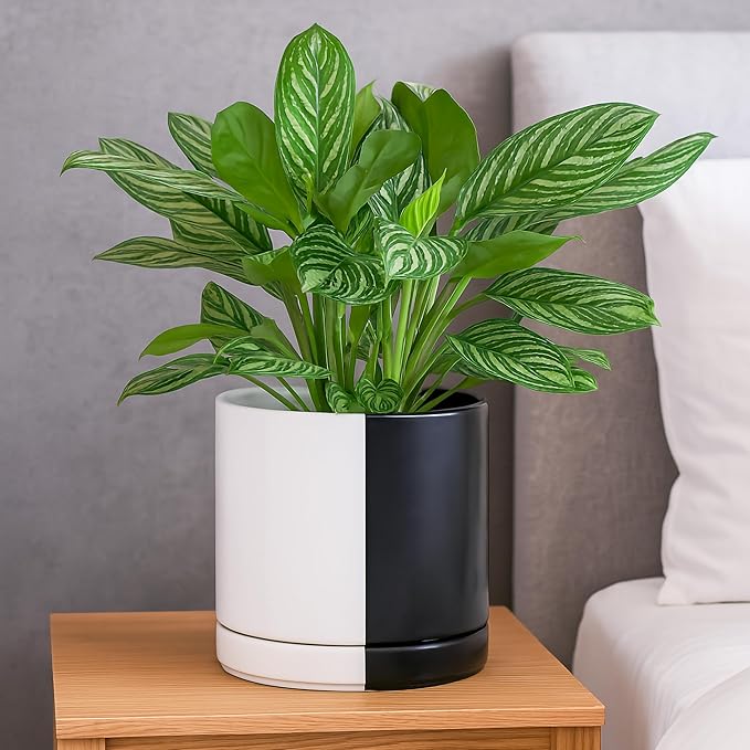 D'vine Dev 8.2 Inch Ceramic Planter Pot with Drainage Hole and Saucer Indoor Cylinder Round Planter Pot Split Monochrome Black &amp White 94-O-D-0