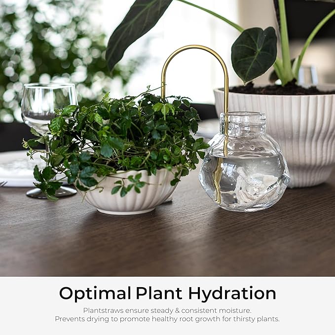 Beautiful Self-Watering Wick System for Effortless Plant Care Automatic Drip Irrigation Sustainable &amp Stylish Scandinavian Design Ideal for House Plants (S Black)