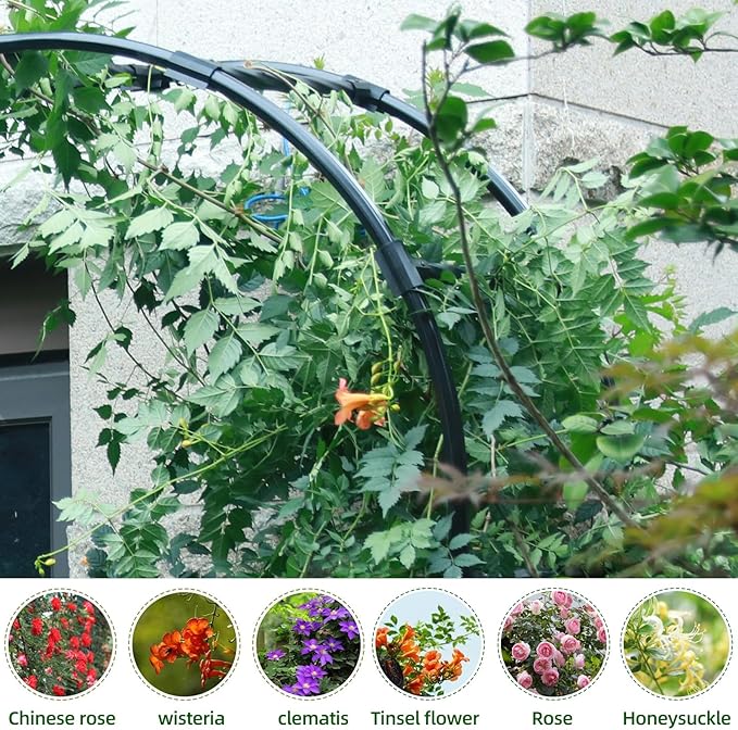 Half Sided Arch Against The Wall Garden Trellis - Garden Arch Arbor Trellis for Climbing Plants Outdoor - Garden Arch for Home Yard and Garden
