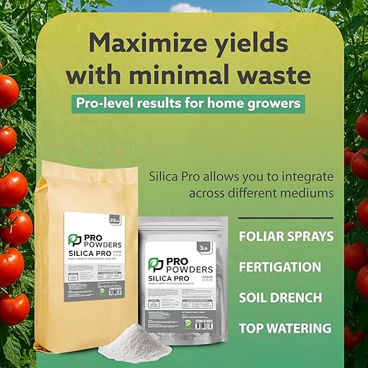 Pro Powders Silica Potassium Silicate 20LB Powder - Makes up to 18000 Gallons - Stengthens Branches &amp Nutrient Delivery System &amp Reduces Stress