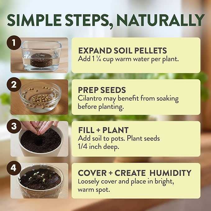 HOME GROWN Indoor Organic Herb Garden Kit Unique Valentines Day Gift for Adults Men &amp WomenGrow 4 Herb Seeds for Kitchen Window GardenBeginner DIY Hobby Gardening Gift for Plant Lovers Mom &