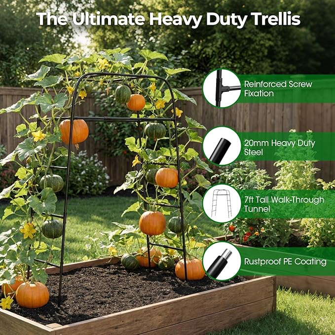 Garden Arch Trellis for Climbing Plants 83 High Metal Cucumber Trellis &amp Tomato Cage Rustproof Steel Tunnel Support for Squash Pumpkin Vegetables with Screw Fixation (32.3 L x 39.4 W)