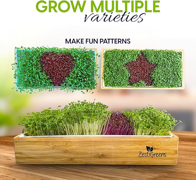 ZESTIGREENS Self Watering Microgreens Growing Kit. Hands Down The Easiest Way to Grow Microgreens. Includes Tray Seeds Mats and Bamboo Surround. Great Gift for Gardeners