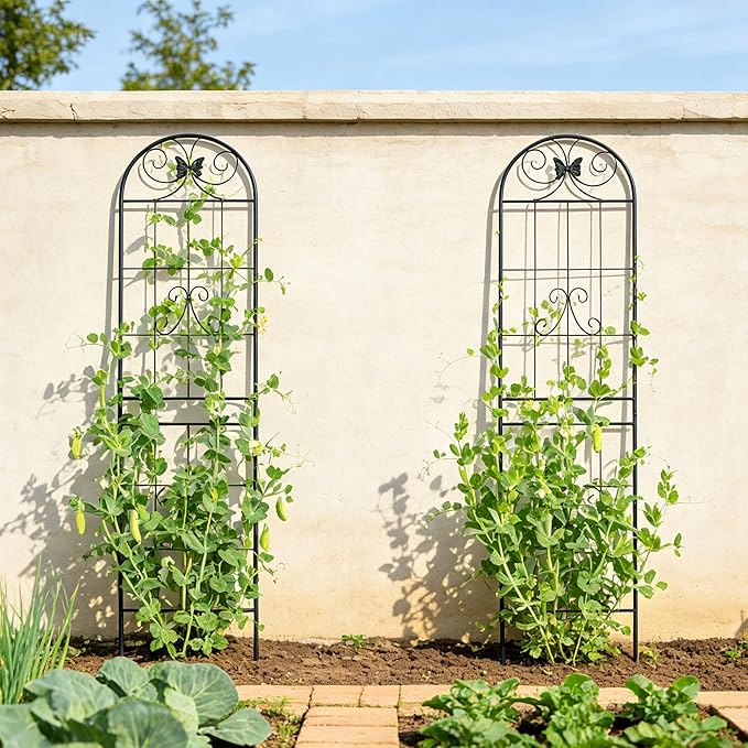 2 Pack Large Garden Trellis Heavy Duty Rustproof Iron Plant Trellis for Potted Plant Support Metal Climbing Rose Trellis Vine Vegetable CucumberBlack-86.7 H x 19.7 W