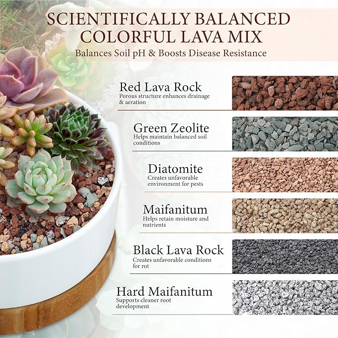 10LB Lava Rocks for Plants-3/8 Volcanic Rock for Succulent Potting Mix Cactus Orchids &amp Bonsai-Porous Horticultural Grit for Drainage Aeration &amp pH Balance - Decorative Top Dressing