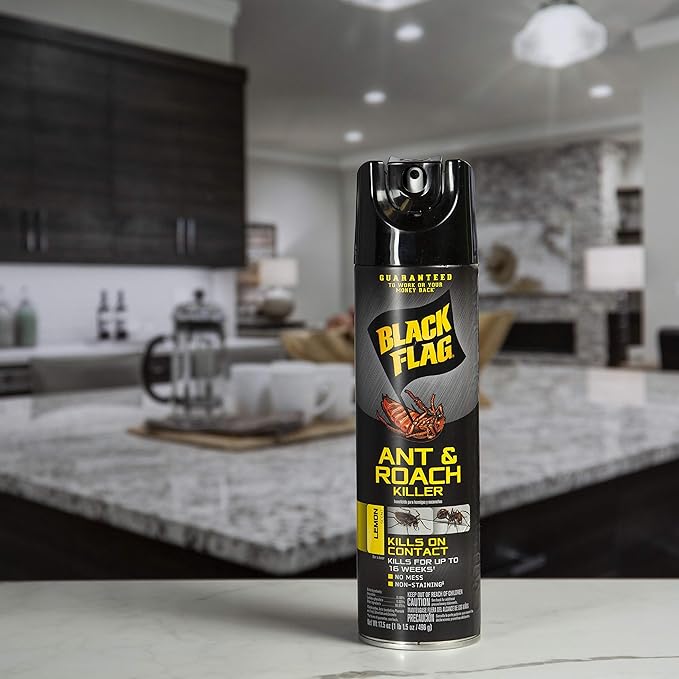 Black Flag Ant &amp Roach Killer Aerosol Lemon Scent 17.5-Ounce 12-Pack