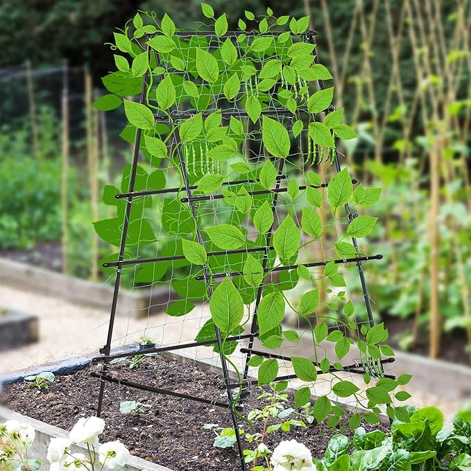 HPC Decor Cucumber Trellis for Raised Bed 6 FT Tall Garden Trellis for Climbing Plant Outdoor Metal A Frame Trellis with Climbing Net Support for Vegetable Grape Tomato Peas Fruit Vine.