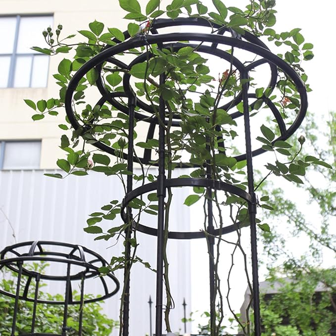 FLEXMAN Garden Trellis for Climbing Plants 50cm Diameter Climbing Vine Frame Round Garden Trellis Tomato Cages for Climbing Vines Rose Bushes Indoor Potted Plants Tomatoes (2 Layers)
