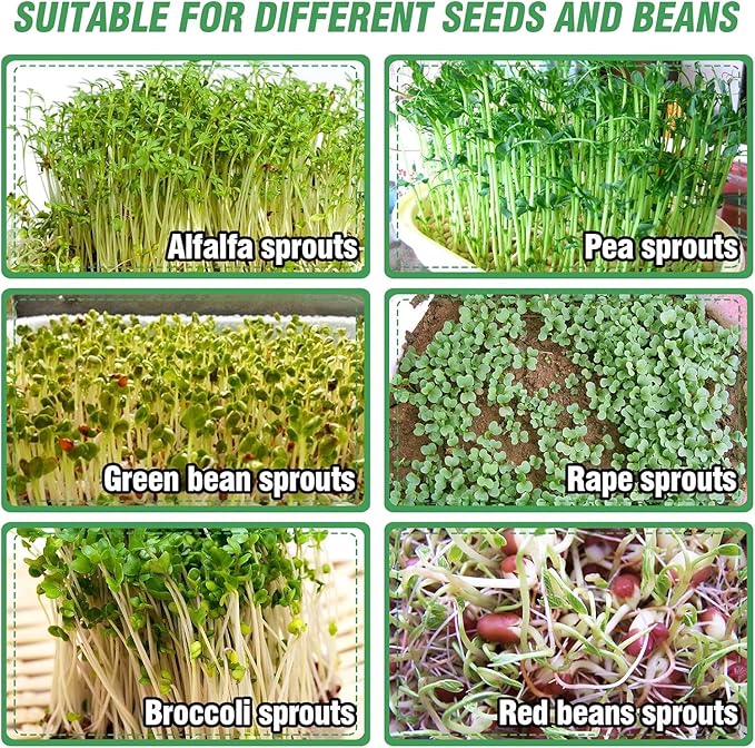 Stainless Steel Seed Sprouting Kit - 4-tier Microgreens Growing Tray 6in Dia Stackable Round Seed Sprouter Maker with Encrypted Mesh Sprouts Grower for Beans Broccoli Alfalfa Seeds Wheat Grass