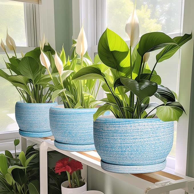 SQOWL Ceramic Planters for Indoor Plants - 6 Inch Plant Pot Indoor Outdoor Decorative Flower Pot with Drainage Hole and Saucer Round Succulent Planter Home Apartment Decor Garden Gifts Blue