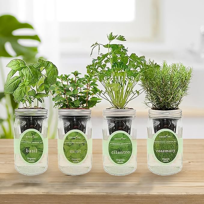 Hydroponic Herb Growing Kit Set Self-Watering Mason Jar Herb Garden Starter Kit Indoor Grow 4 Kinds of Herbs from Seeds (Basil Mint Cilantro &amp Rosemary)