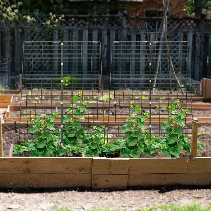 AGTEK 34 x 48 Foldable Cucumber Trellis with Garden Stakes and Zip Ties Plant Support A Frame Metal Trellis for Climbing Plants Cucumber Vegetable Flowers