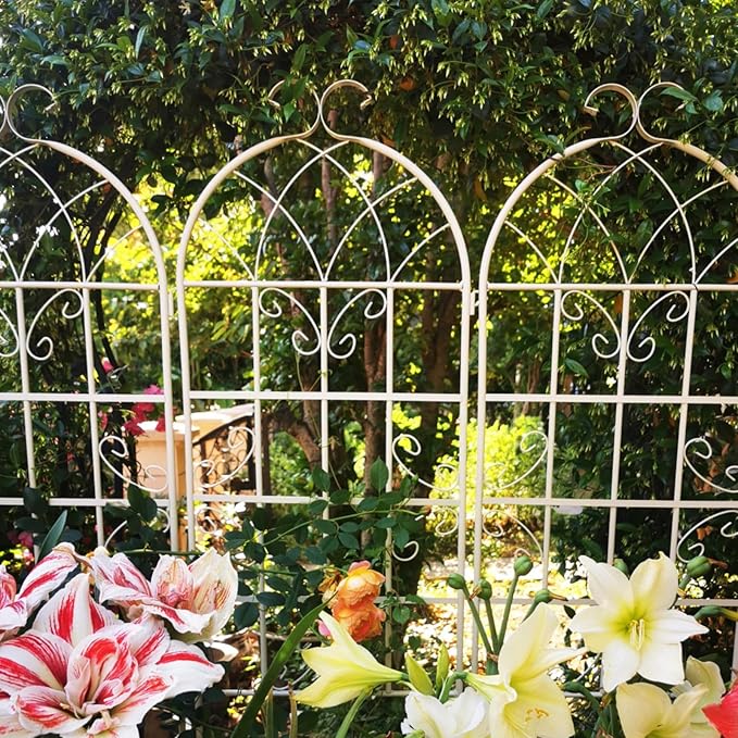 Metal Garden Trellis Rustproof Arched Fence for Climbing Plants Outdoor Flowers Vegetables Elegant Flower Trellis for Garden Decor Wall Brackets Black &amp White 71 x 19.7 (Cream White 4 Pack