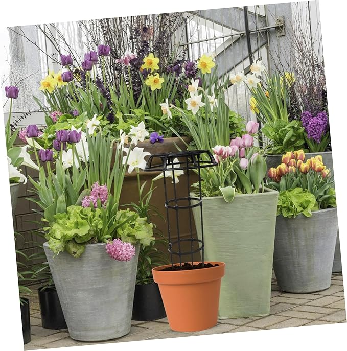Plant Support Rack Garden Trellis for Climbing Plants Polished No Burrs