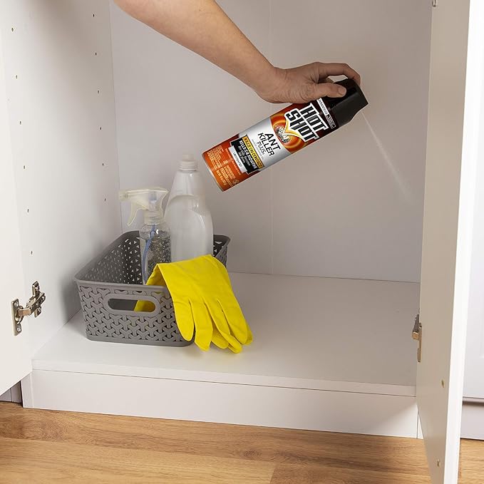 Hot Shot Ant Killer Plus Aerosol Unscented Kills On Contact 12 Pack