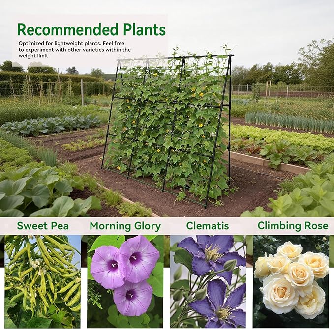 Cucumber Trellis - 49.4*49.4 Metal Garden Trellis for Climbing Plants Garden Trellis with Plastic-Coated Steel Pipe A Frame Trellis for Cucumbers Peas Morning Glories(Black)