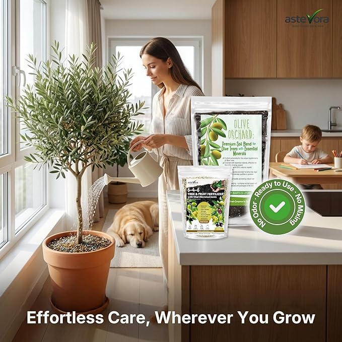 Complete Olive Care Duo – Olive Tree Potting Mix (5 quarts) Indoor Plant Soil &amp Olive Tree Fertilizer (1/2 Quart)