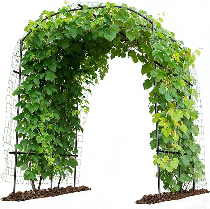 DoCred Tall Garden Arch Trellis for Climbing Plants 87in x 75in Tall Metal Plant Support Trellis Archway for Climbing Vine Vegetable/Fruit/Flower Outdoor Garden Trellis Decoration Black