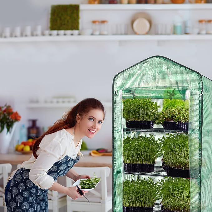 4-Tier Mini Greenhouse Indoor Outdoor with PE Cover and Roll-Up Zipper Door Portable Waterproof Cloth Greenhouse Tent Grow Seeds &amp Seedlings 27.17X19.29X63''Green