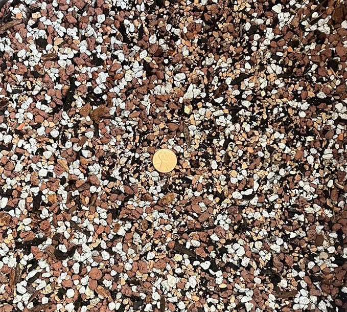 Special Blend Cactus &amp Succulent Soil Mix w/Lava Pumice Turface &amp Sand - Small 2.5 quarts