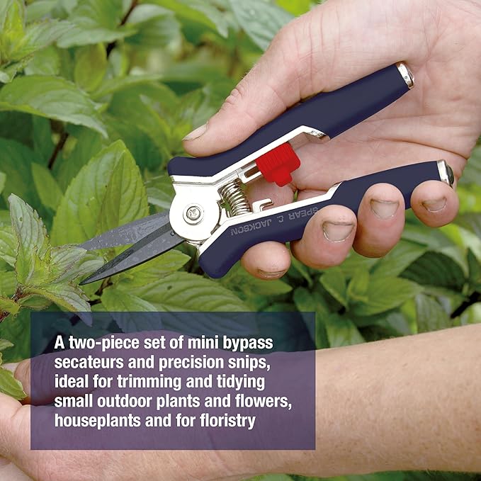 Spear &amp Jackson Razorsharp Mini Pruner Set for Small Garden Tasks and Bonsai Care 2 Piece Precision Compact Lightweight Ergonomic Pruning Shears