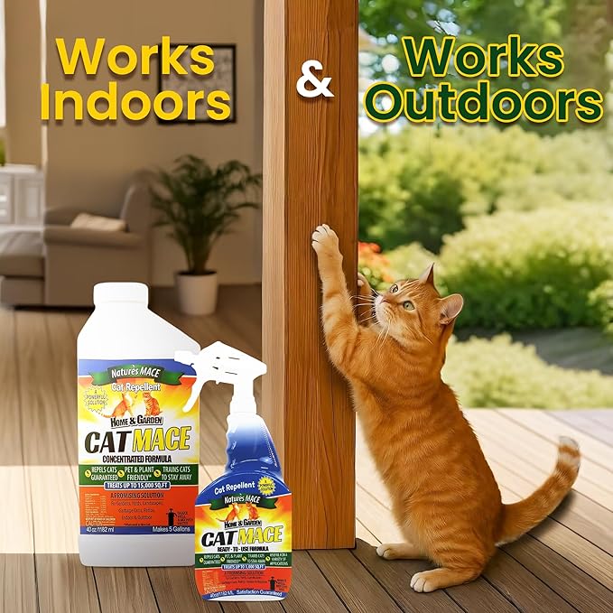 Nature's Mace Cat Mace Cat Repellent Outdoor &amp Indoor All Season Training Tool Chewing Digging Marking Keep Cats Off of Lawn Garden Pee Deterrent Pets Plants 40 oz Spray &amp Concentra