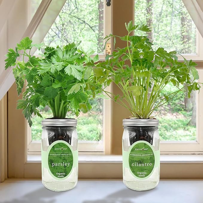 2-Pack Hydroponic Mason Jar Herb Garden Kit Indoor Herb Garden Self-Watering Starter Kit (ParsleyCilantro)
