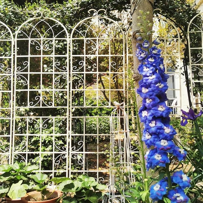 Sturdy Metal Garden Trellis for Climbing Plants – Rust-Resistant Outdoor Plant Support with Decorative Lattice Design (2 Pack-Cream White)