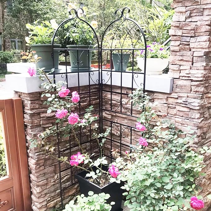 Metal Garden Trellis Rustproof Arched Fence for Climbing Plants Outdoor Flowers Vegetables Elegant Flower Trellis for Garden Decor Wall Brackets Black &amp White 71 x 19.7 (Black 4 Pack)