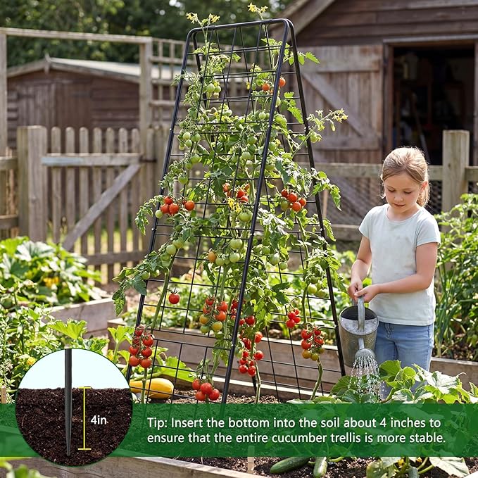 2 Pack Cucumber Trellis 71 High Foldable A-Frame Garden Trellis for Raised Bed Garden Grow Support with Plant Support Clips Ties for CucumberTomato Climbing Plants and Flowers