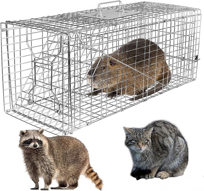 Large Live Animal Cage Trap 30.5x11.8x11Inches Humane Cat Trap for Stray Cats Heavy Duty Foldable Raccoon Traps Humane Catch &amp Release Live Traps for Gopher Opossum Skunk