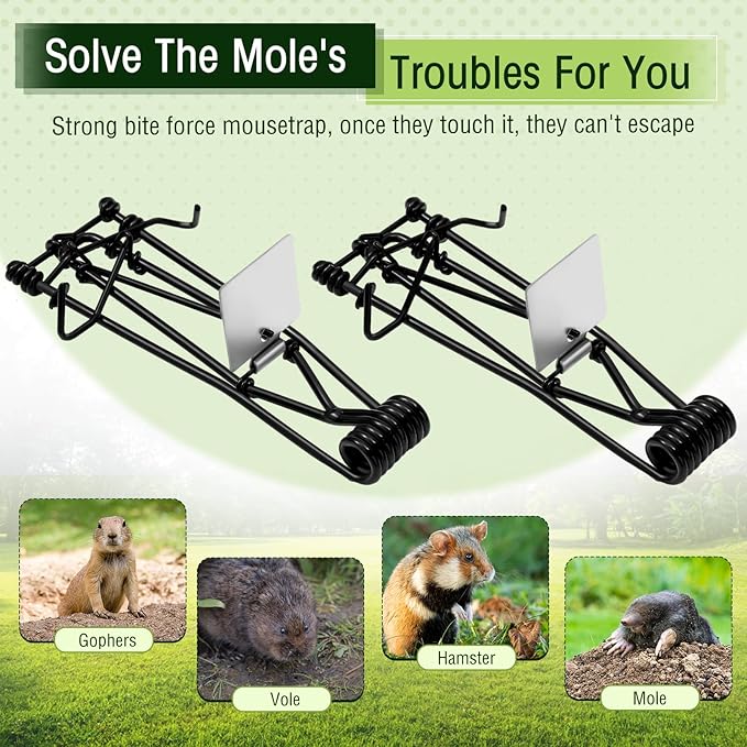 Qualirey 16 Pcs Outdoor Gopher Traps Bulk - Reusable Galvanized Gopher Trap with Red Stick Flags Weather Resistant Mole Vole Trap Killer for Farm Lawn Yard Garden (Black)
