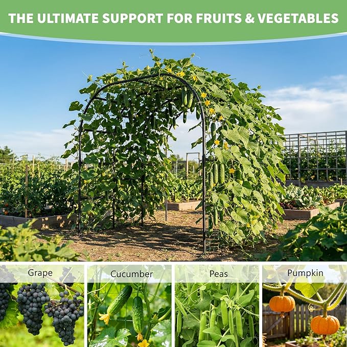 DoCred Garden Arch Trellis for Climbing Plants 88 Inch Large Garden Trellises Outdoor Metal Plants Support Archway Arbor Tunnel for Vegetables Plant Cucumber Trellis Decoration Black