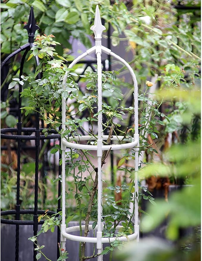 Garden Obelisk Trellis for Climbing Plants 70/90/110cm Tall Tomato Cage Trellis for Garden Indoor Outdoor Potted Plant Support 1pcs(Color:WhiteSize:70cm/27.5in)