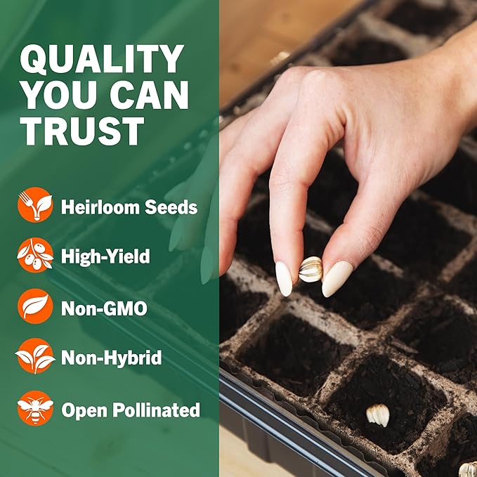 Open Seed Vault |15000 Heirloom Seeds | 32 Seed Types | Survival Seeds | 2026 Season | Non GMO Vegetable and Fruit Seeds | Planting Outdoor &amp Indoor Garden