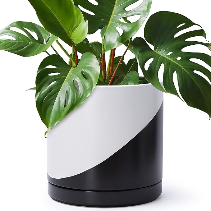 D'vine Dev 12 Inch Ceramic Planter Pot with Drainage Hole and Saucer Indoor Cylinder Round Planter Pot Oblique Monochrome Black and White 94-O-F-K
