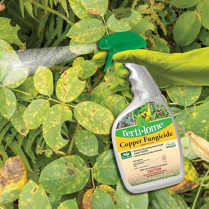 Fertilome (16136) Copper Fungicide Ready to Use Controls Needle Blight Blackspot Powdery Mildew and More OMRI Listed (32 oz.)