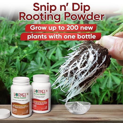 Hormex Rooting Powder #8#16 (0.80-1.60% IBA) for Hardwood Plants Trees &amp Shrubs - High Strength Root Powder Root Stimulator for Plants Rooting Hormone for Cuttings Cloning &amp Propagation