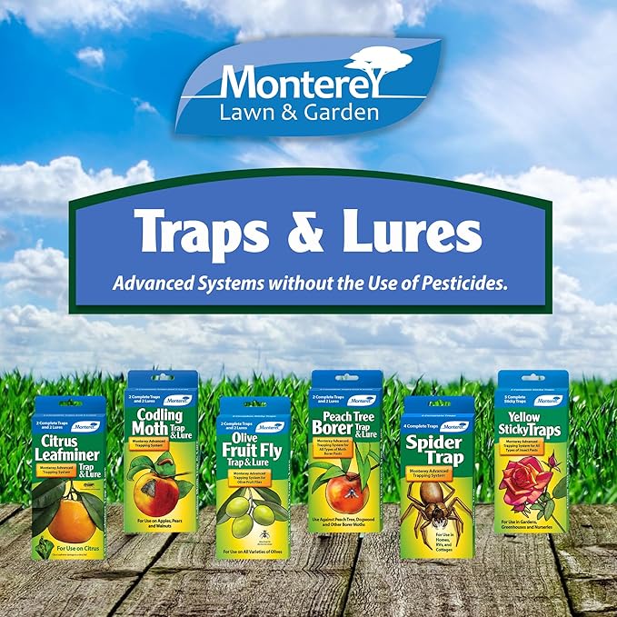 Monterey Codling Moth Trap &amp Lure - Organic Pesticide-Free Fruit &amp Nut Tree Control for Apples Pears Walnuts and Quince