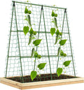 Compact A-Frame Plant Trellis for Peas Beans &amp Small Climbing Plants - 47'' H x 31.5'' W PE-Coated Galvanized Steel Garden Support with Netting Ideal for Raised Beds &amp Container Gardens