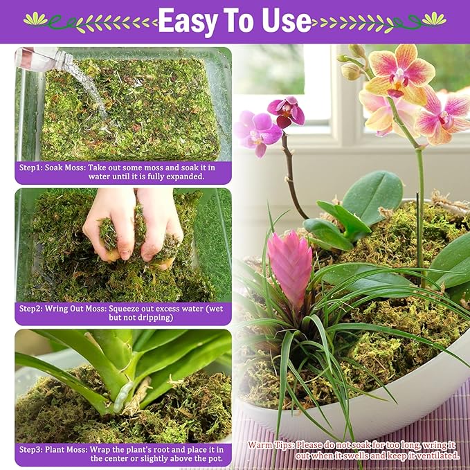 Riare 3.3LBS Premium Sphagnum Moss for Plants- 60QT Natural Dried Plant Moss for Potted Plants Orchid Moss for Repotting Soft Green Decorative Moss for Succulents Reptiles &amp DIY Crafts