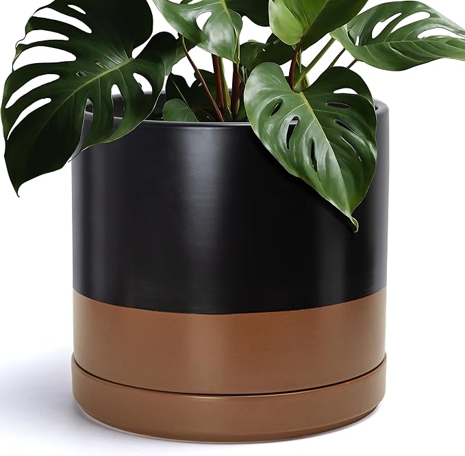 D'vine Dev 14 Inch Ceramic Planter Pot with Drainage Hole and Saucer Indoor Cylinder Round Planter Pot Black/Speckled Tan 94-O-G-7