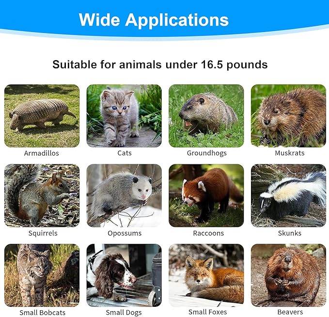 32 Live Animal Trap Cage Heavy Duty Folding Live Animal Cage Trap for Stray Cats Raccoons Squirrels Rabbits Opossums Groundhogs Armadillos up to 16.5 lbs - 32 L x 11 W x 12 H