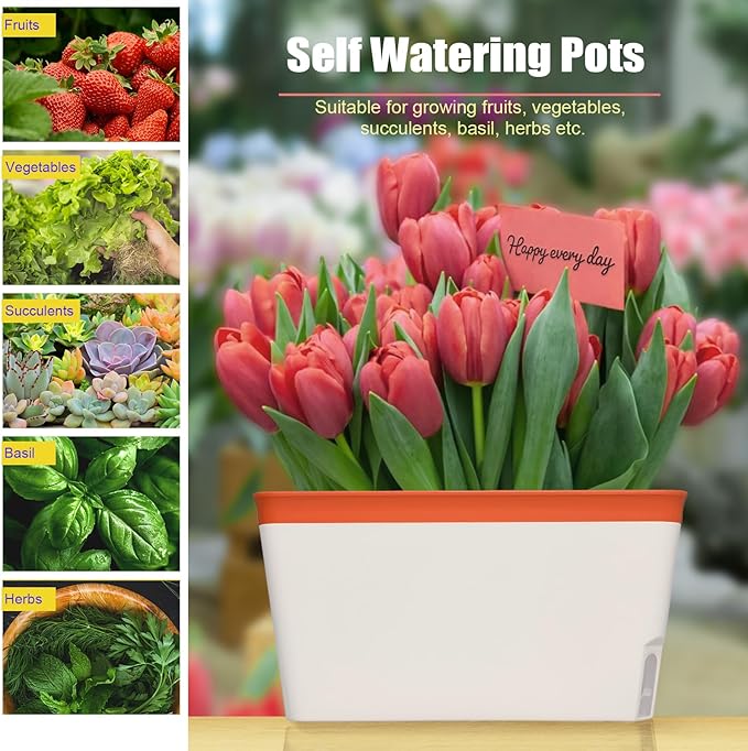 OurWarm 3 Pack Self Watering Herb Planter Set for Windowsill 10.5In Indoor Herb Garden Planters with Water Level Indicator Dual Layer Easy Care Pot for Basil Flowers Vegetables &amp Succulent