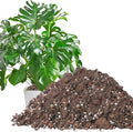 6.4QT Monstera Soil Potting Mix - Natural Organic Tropical Plant Soil for Improving Growth Rate Sustainable Houseplants Growing Media for Indoor Bonsai Succulents Moisture Retention Drainageq