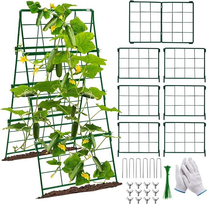 Thickened Cucumber Trellis for Raised Garden Bed48x16 Foldable Frame Metal Vegetable Trellis for Climbing Plants Outdoor Plant Support for Grape Tomato Peas Fruit VineBean(Green)