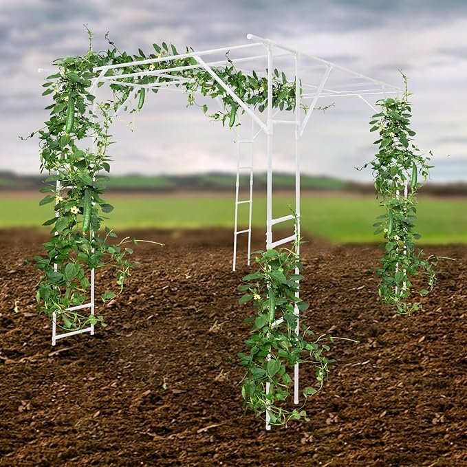 Plant Climbing Stand Outdoor Plant Stand Plant Climbing Display Rack Large Outdoors Garden Decoration Arch Trellis 118 x78.72 x90.5 Grape Vine Trellis for Vineyard Outdoor Patio (White)