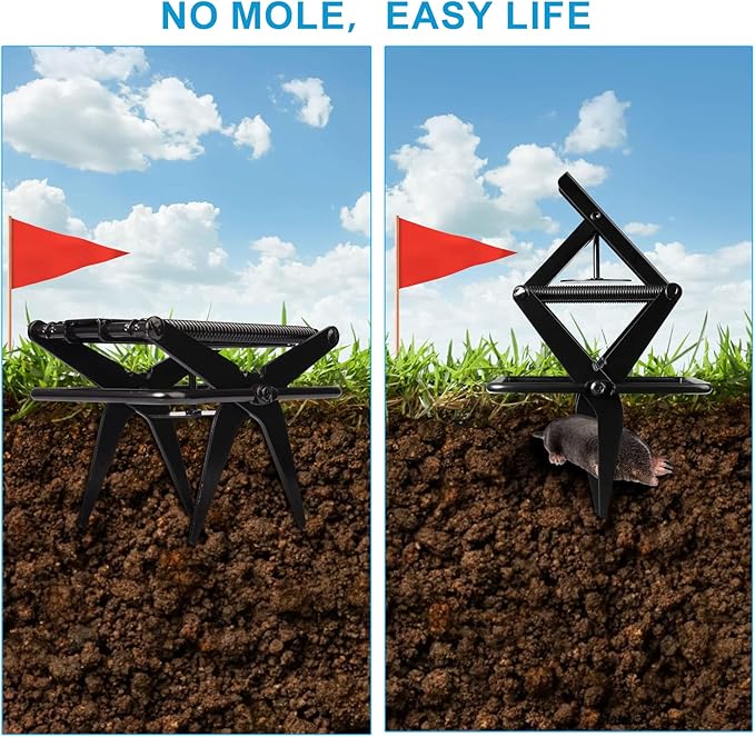 2 Pack Mole Trap Mole Traps that Kill BestMole Killer Easy to Set Mole Traps for LawnsMole Trap Scissor Metal Gopher Trap Large (Black)